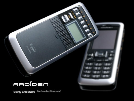 309091 (a): :1024x768